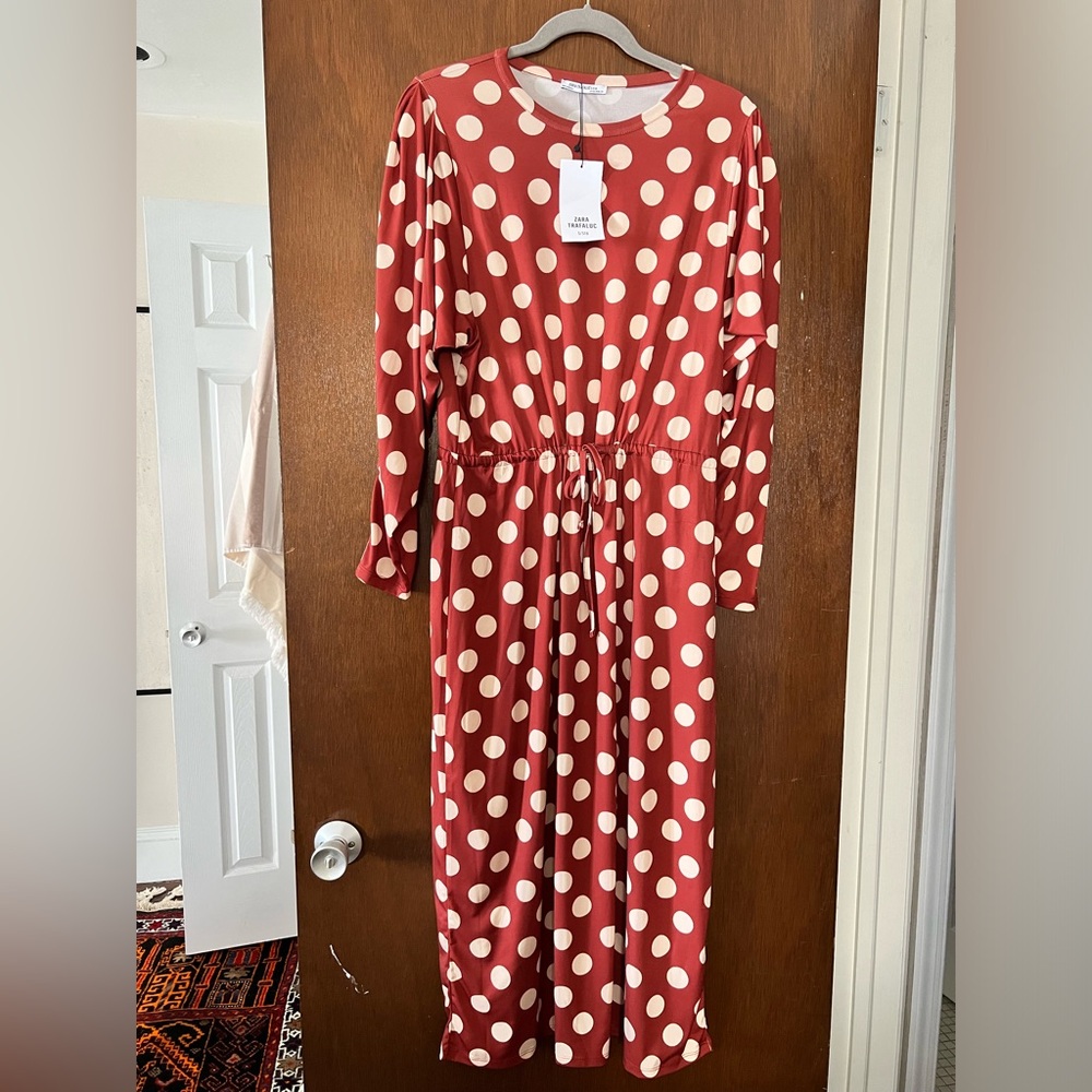 Zara Polka Dot Dress